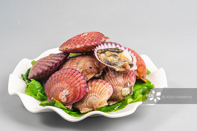 美味海鲜小红扇贝图片素材
