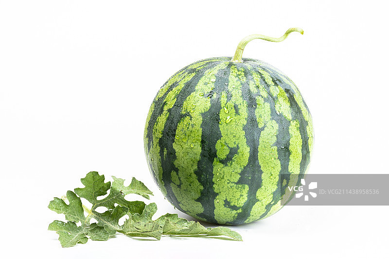 带叶子的8424西瓜图片素材