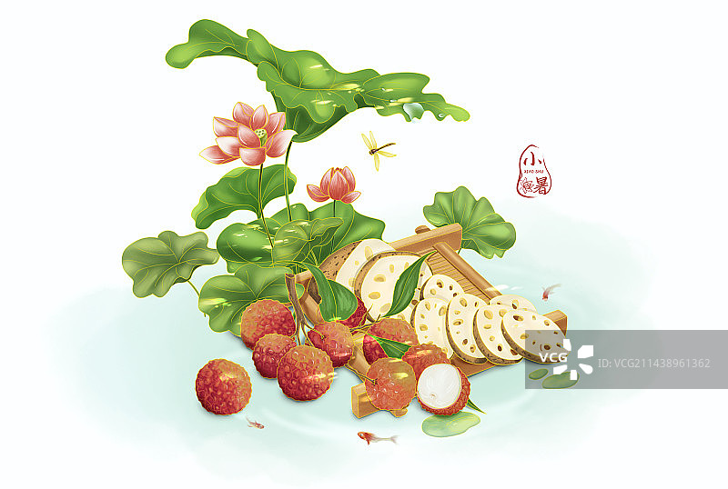 夏天节气小暑莲藕养生图片素材