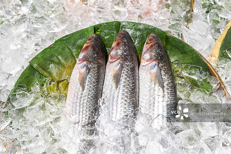 超市里的冰鲜海产鱼类图片素材