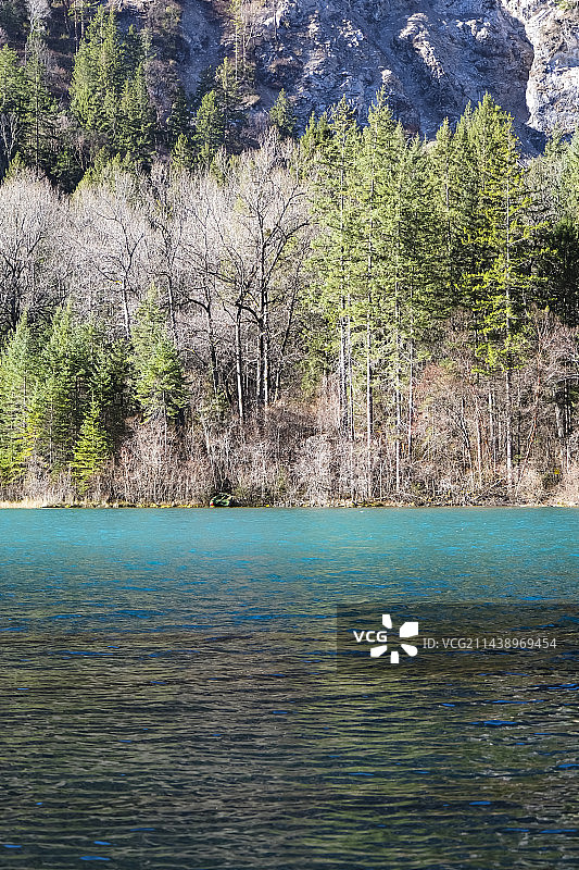 四川省阿坝藏族羌族自治州九寨沟国家级自然保护区冬季晴天美丽风景图片素材