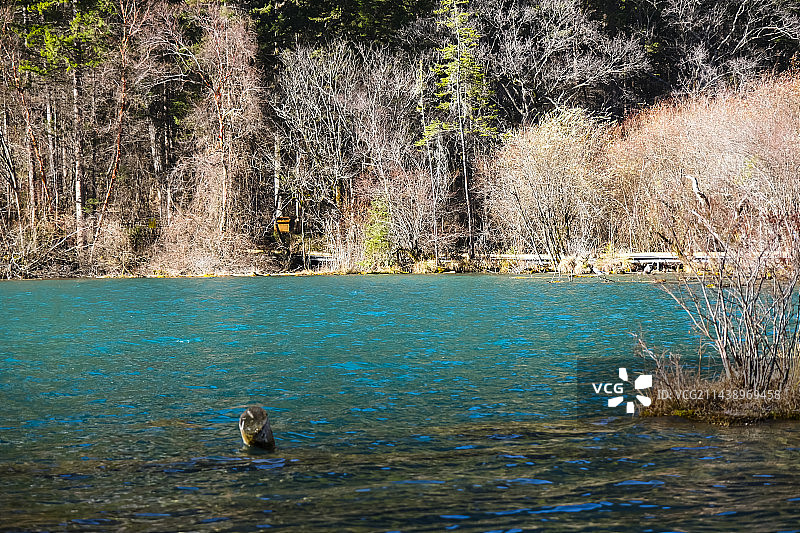 四川省阿坝藏族羌族自治州九寨沟国家级自然保护区冬季晴天美丽风景图片素材
