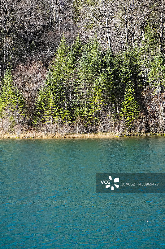四川省阿坝藏族羌族自治州九寨沟国家级自然保护区冬季晴天美丽风景图片素材