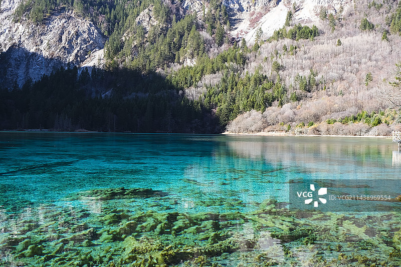 四川省阿坝藏族羌族自治州九寨沟国家级自然保护区冬季晴天美丽风景图片素材