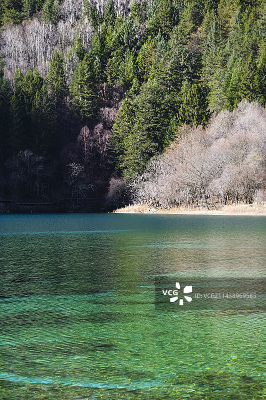 四川省阿坝藏族羌族自治州九寨沟国家级自然保护区冬季晴天美丽风景图片素材