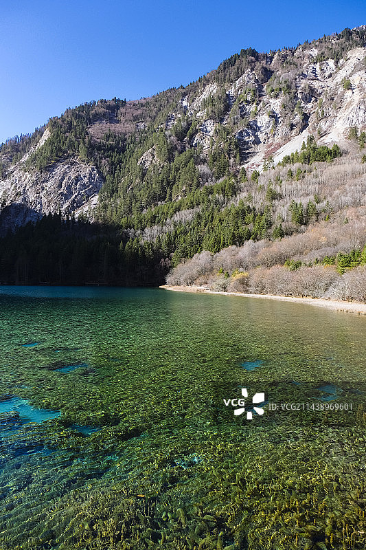 四川省阿坝藏族羌族自治州九寨沟国家级自然保护区冬季晴天美丽风景图片素材