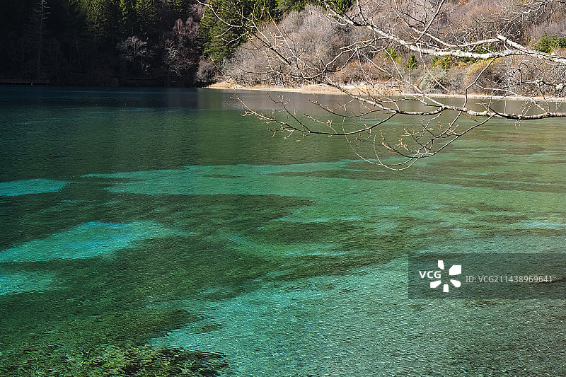 四川省阿坝藏族羌族自治州九寨沟国家级自然保护区冬季晴天美丽风景图片素材