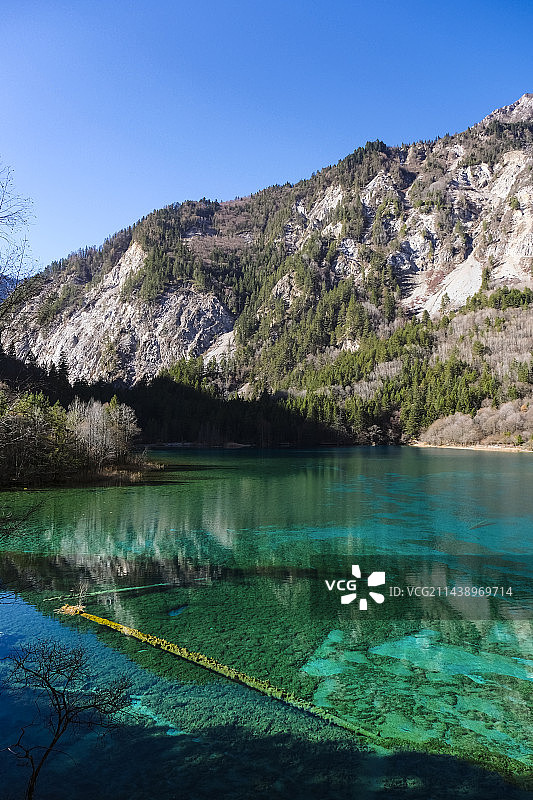 四川省阿坝藏族羌族自治州九寨沟国家级自然保护区冬季晴天美丽风景图片素材