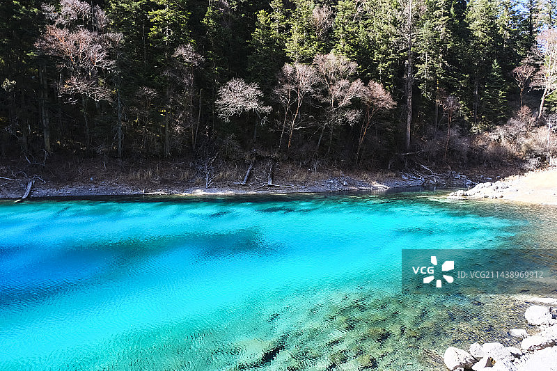 四川省阿坝藏族羌族自治州九寨沟国家级自然保护区冬季晴天美丽风景图片素材