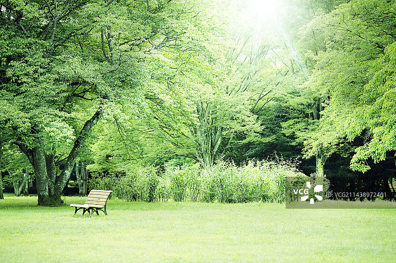 长椅和公园图片素材