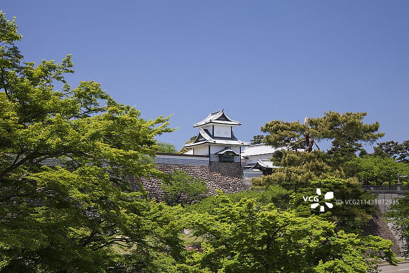 新绿与日本石川县金泽市金泽城公园图片素材