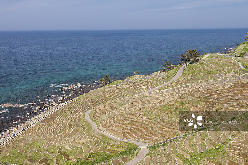 日本石川县轮岛市白米千枚田（梯田）图片素材