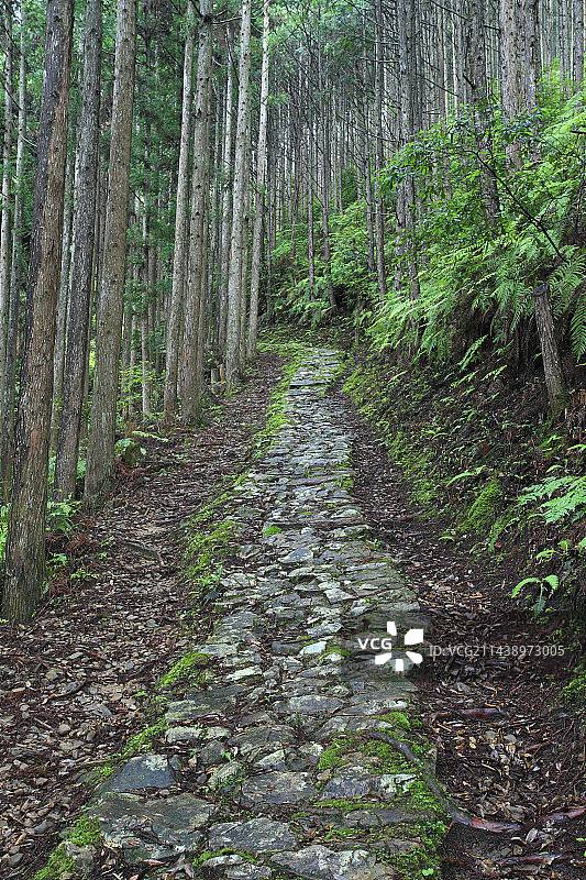 熊野古道小路路面，位于奈良县吉野郡户津川村图片素材