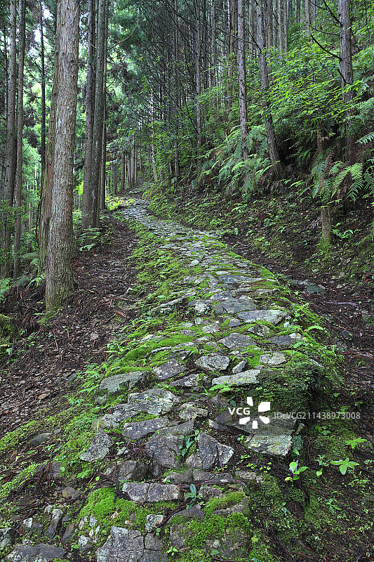 熊野古道小路路面，位于奈良县吉野郡户津川村图片素材