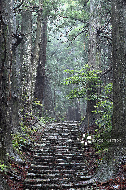 熊野那智山大门坂，和歌山县东牟娄郡那智胜浦町那智山图片素材