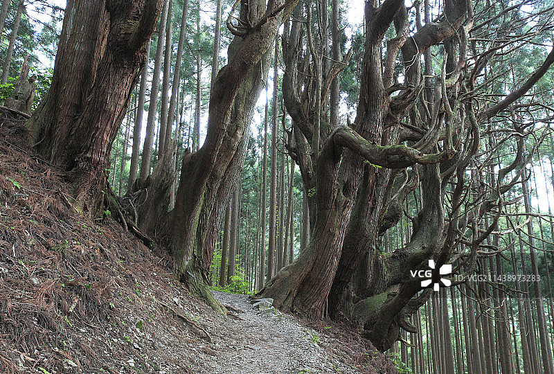 熊野古道旁的吉村家宅邸遗址，位于奈良县吉野郡十津川村小路旁图片素材