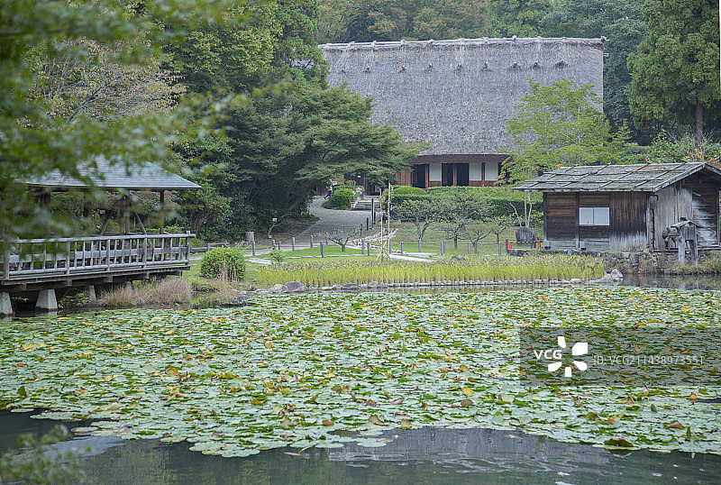 日本爱知县名古屋市东山动植物园植物区的茅草屋和莲花池图片素材