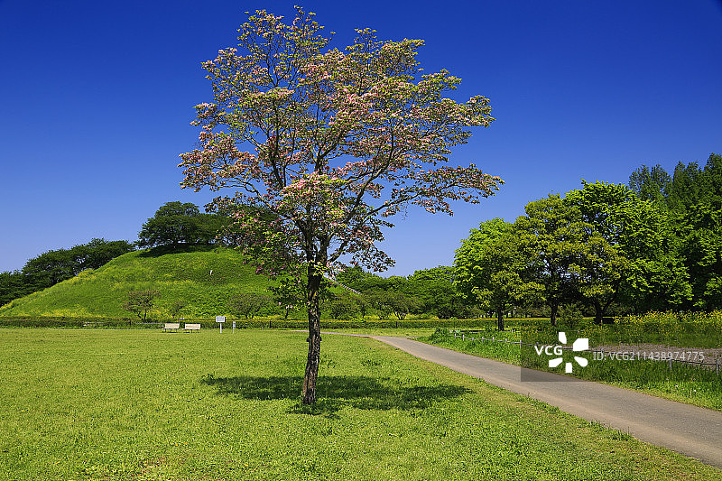 埼玉县行田市埼玉古墳群图片素材