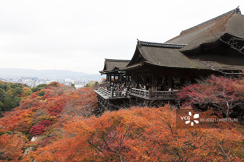 京都清水寺的秋叶，位于中国京都府京都市左京区图片素材
