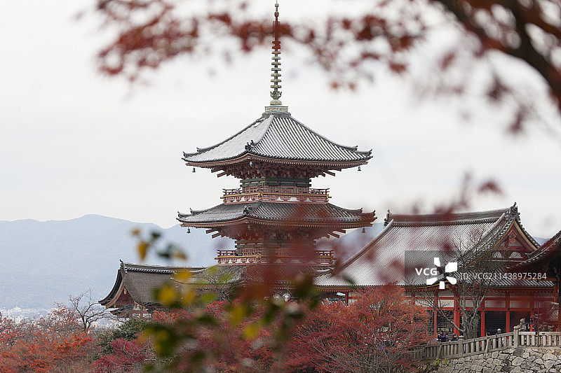 京都清水寺的秋叶，位于中国京都府京都市左京区图片素材