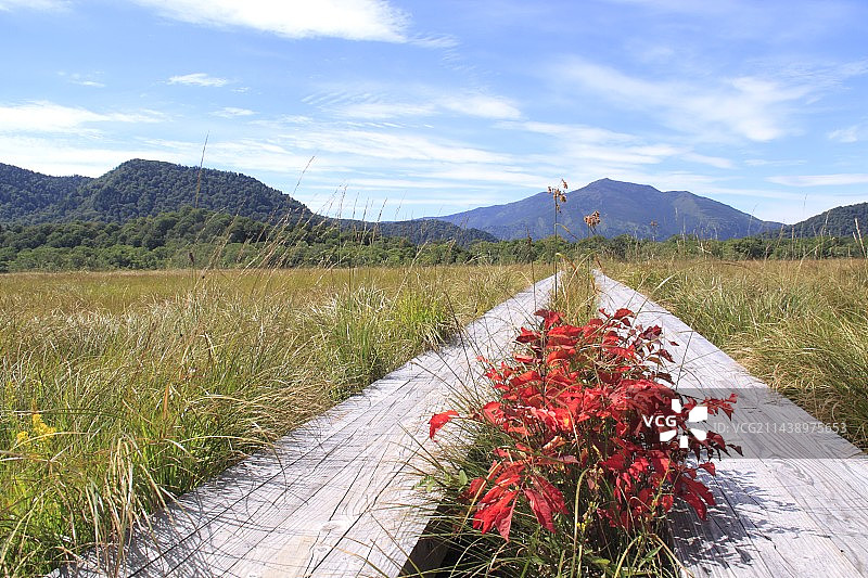 从尾濑原远眺 শিব经山，位于福岛县南会津町图片素材