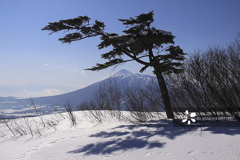 从八幡平滑雪场眺望岩手山图片素材