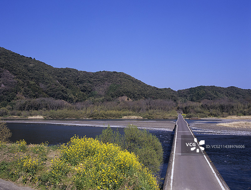 Sata Chinkabashi桥和油菜花朵,Shimanto Riverr, Shimanto,科钦(城市),高知县图片素材
