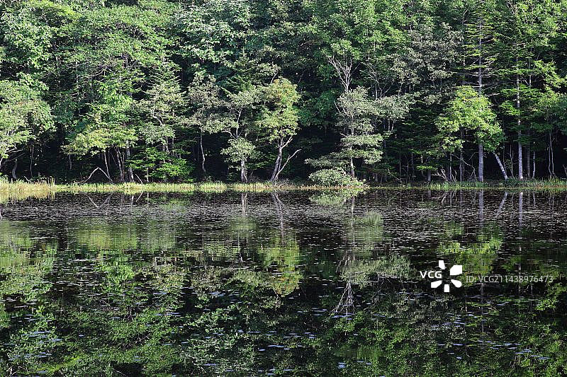 日本北海道知床五湖图片素材