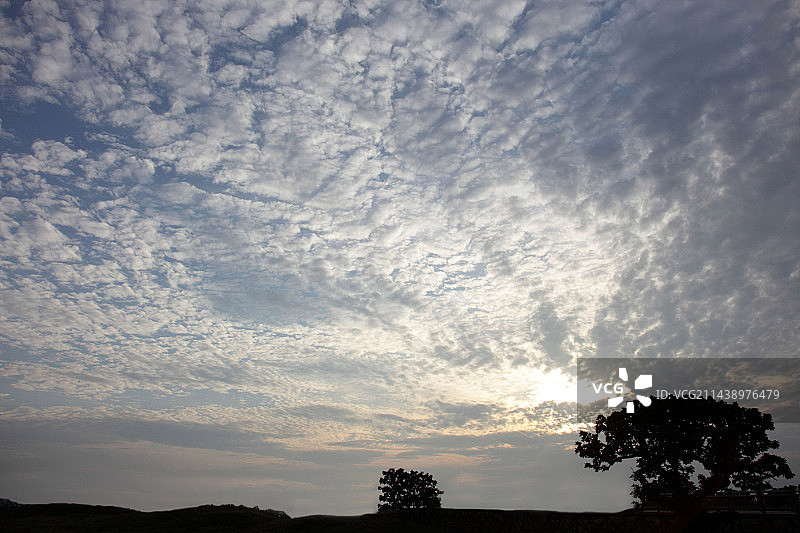 日本北海道知床半岛的树木，笼罩在卷层云中图片素材