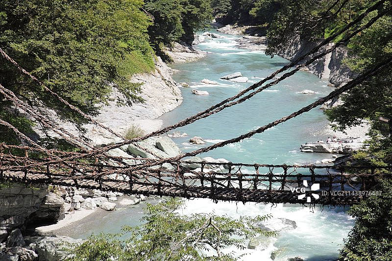 日本德岛县三好市山间蔓桥图片素材