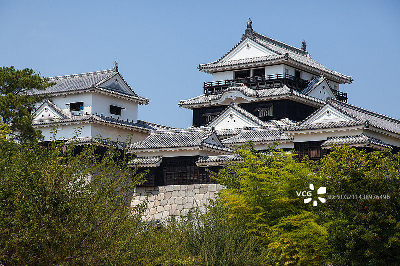 日本松山城的天守阁图片素材