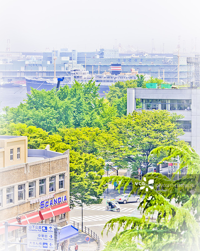 从神奈川县厅眺望横滨市山下公园图片素材