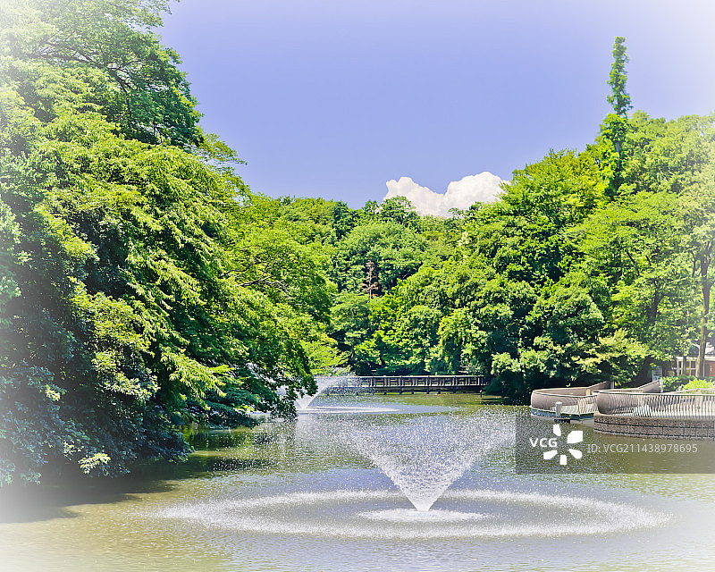 日本东京三鹰市井之头公园井之头池图片素材