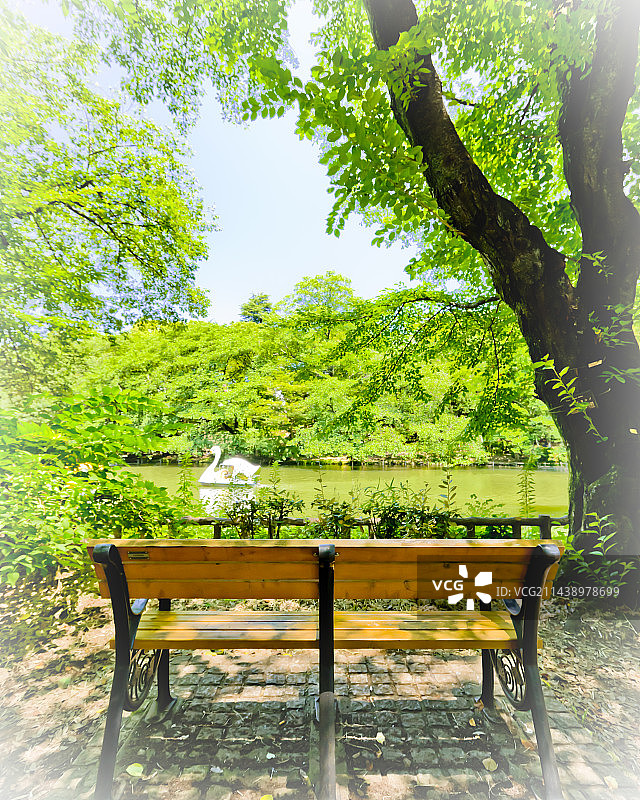 日本东京三鹰市井之头公园长椅图片素材