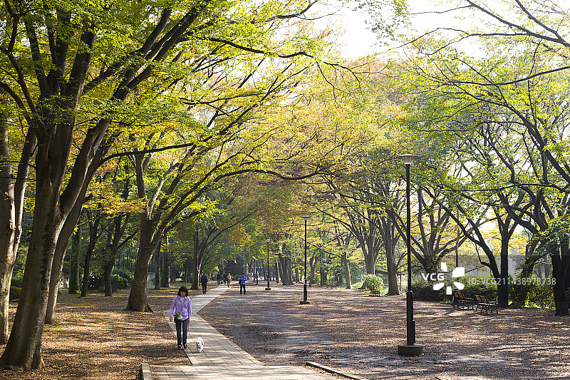 东京三鹰市井之头恩赐公园图片素材