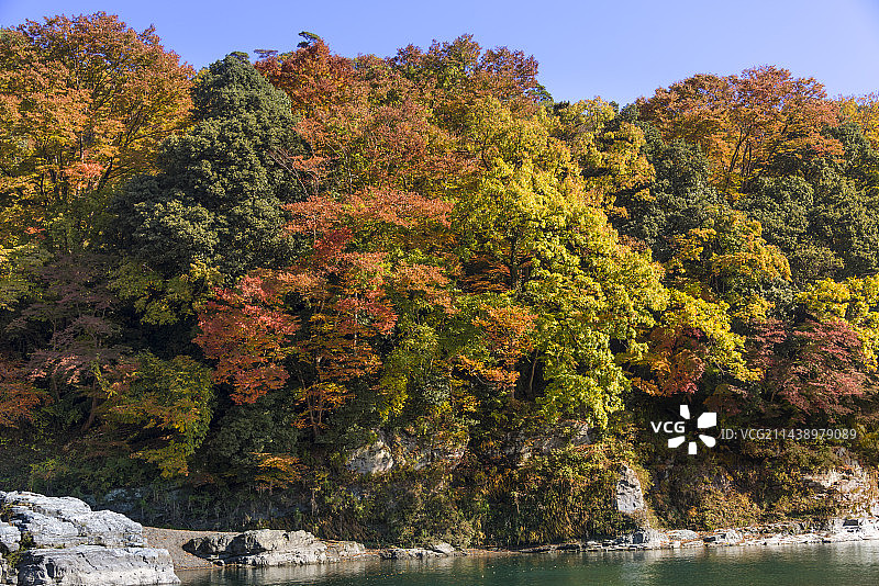 秋季长瀞町风光：岩石区和秋叶（景观），日本，埼玉县秩父郡图片素材