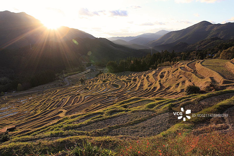 暮色下的丸山千枚田，三重县熊野市图片素材