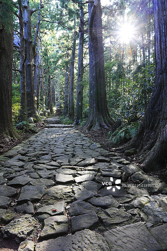 熊野古道大门坂，和歌山县那智胜浦町图片素材