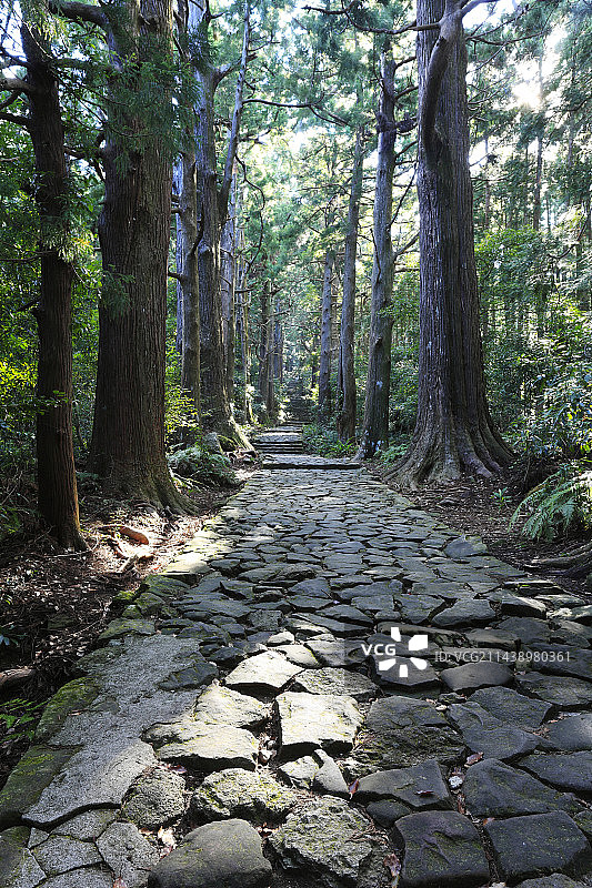 熊野古道大门坂，和歌山县那智胜浦町图片素材