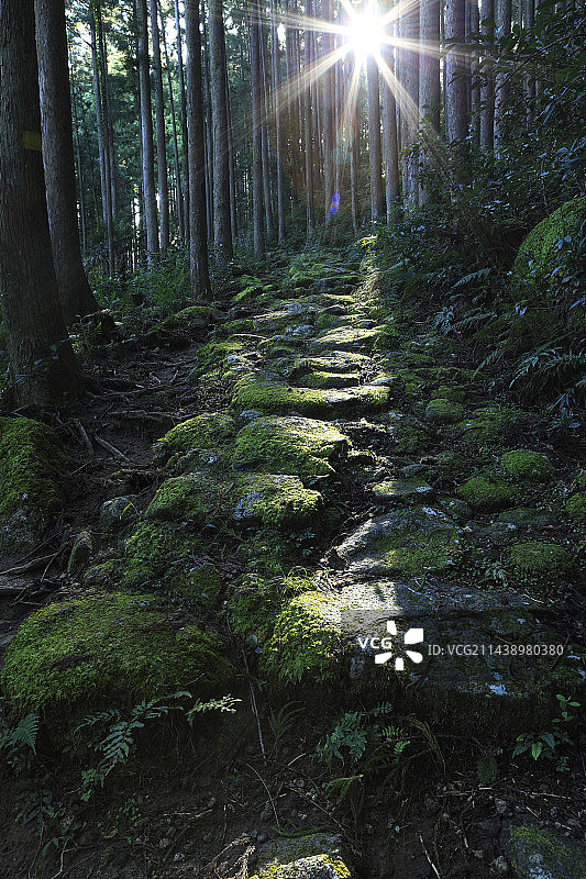 光线与熊野古道，和歌山县新宫市图片素材