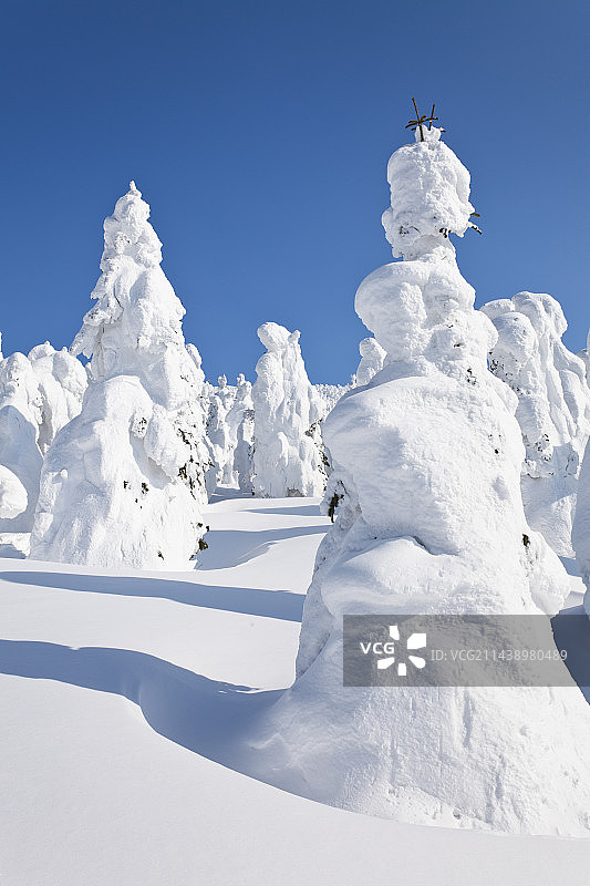 日本山形县藏王山的雾凇树木图片素材