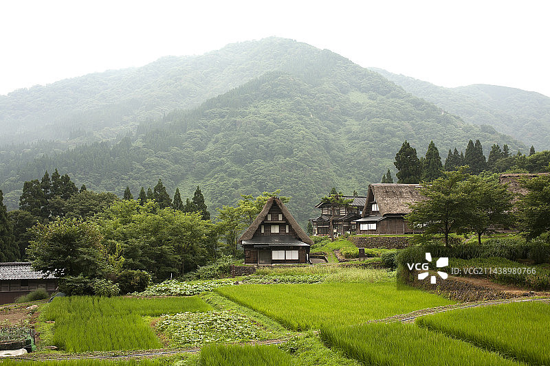 世界遗产地：富山县五箇山相仓合掌村图片素材