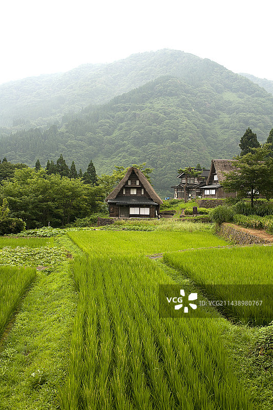 世界遗产地：富山县五箇山相仓合掌村图片素材