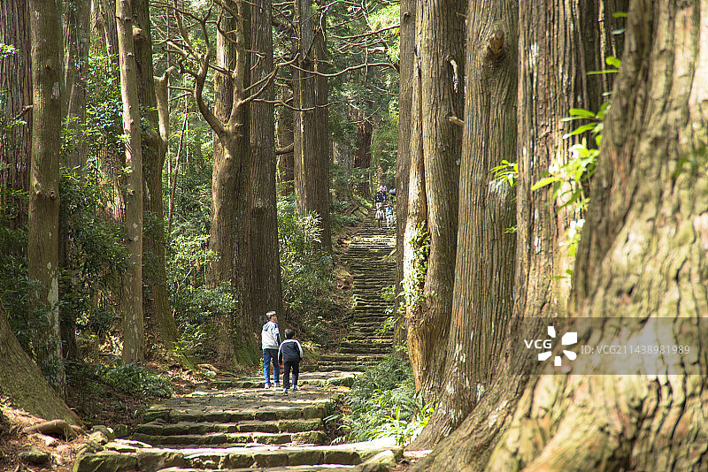 日本和歌山县那智胜浦町熊野古道大门坂图片素材