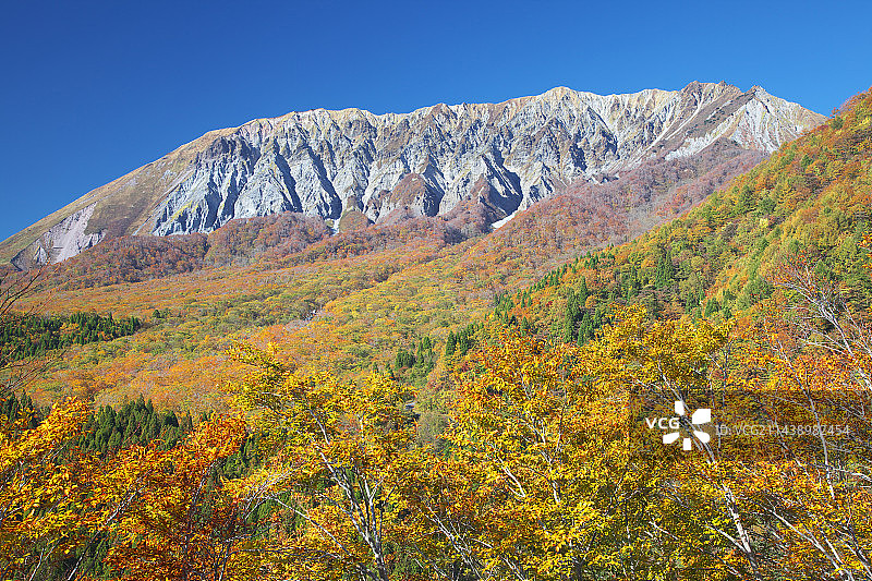 鸟取县日野郡大山红叶图片素材