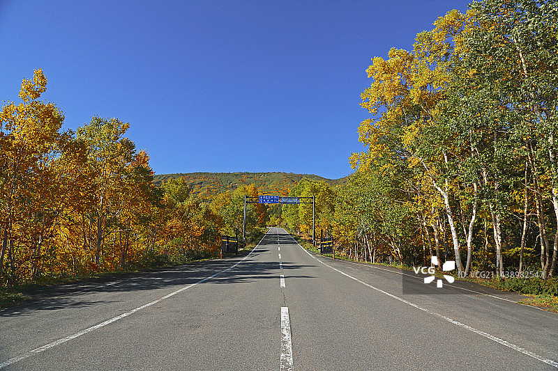 八幡平山红叶图片素材