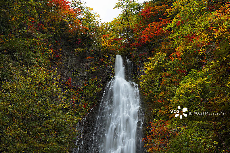 秋季的白神山地和青森县白驹瀑布图片素材