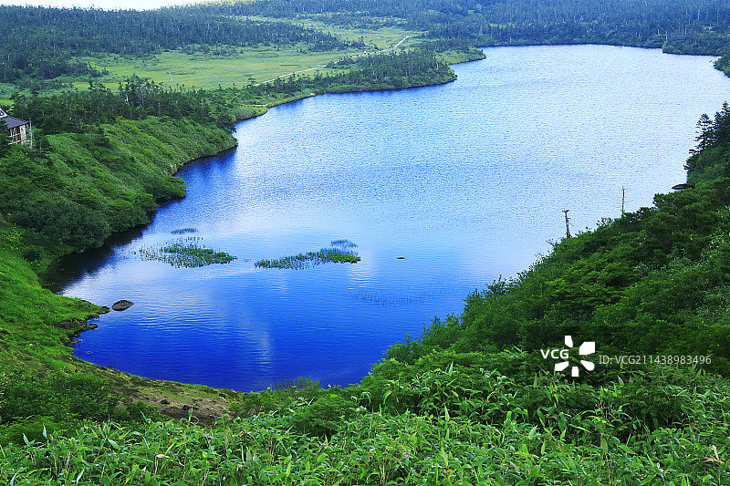 岩手县八幡平山顶的八幡沼湿地图片素材