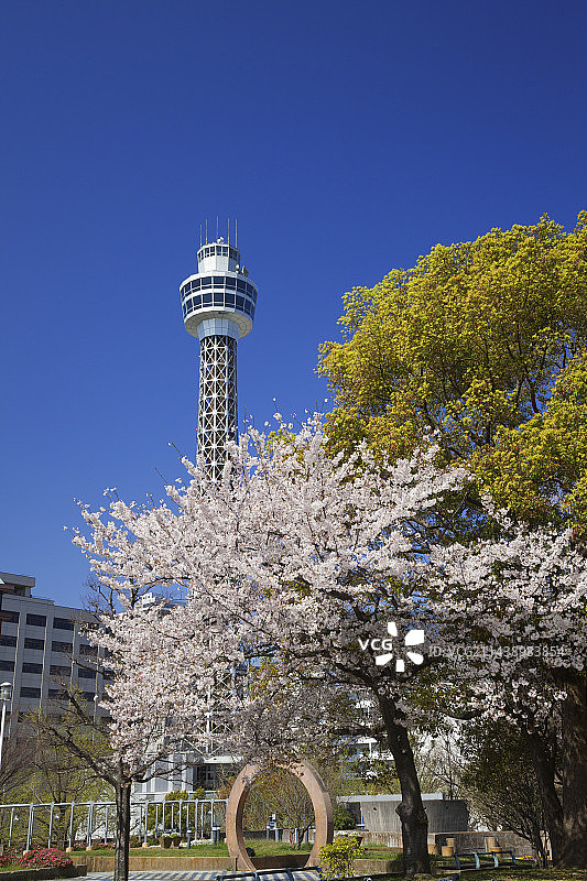 神奈川县横滨市山下公园和海洋塔图片素材