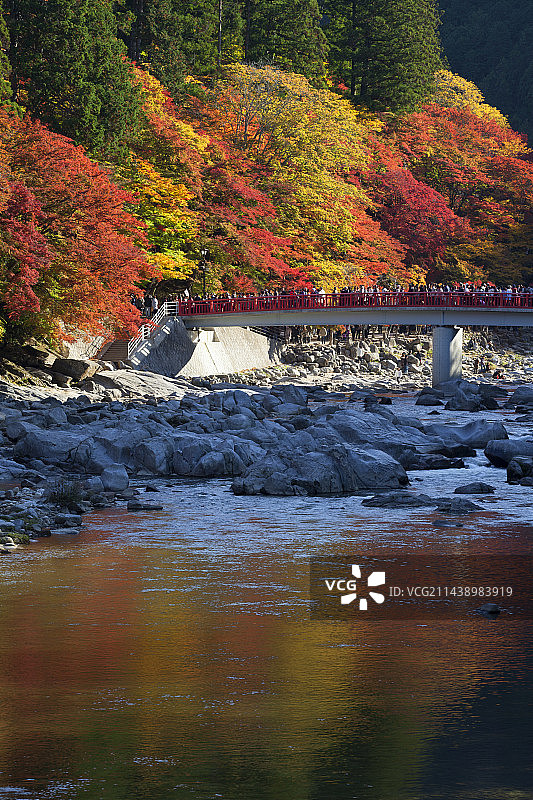 日本香岚溪 Tomoegawa 河和 Taigetsukyo 桥，爱知县丰田市图片素材